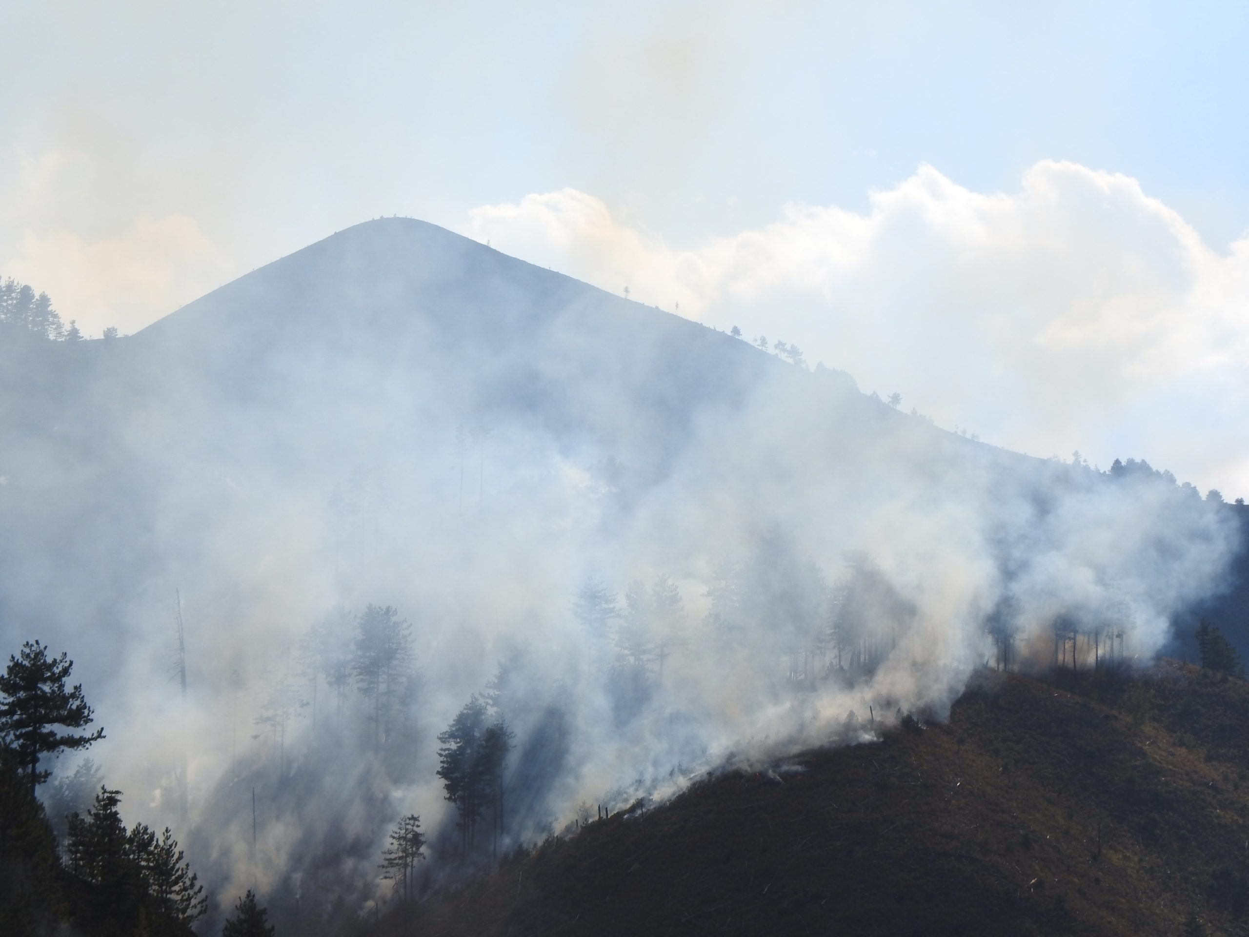 Zjarr në Munellë, shkatërrohet zona kryesore e rrëqebullit të Ballkanit
