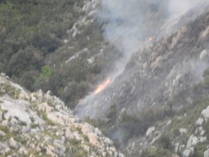 Zjarr në fshatrat e Vlorës